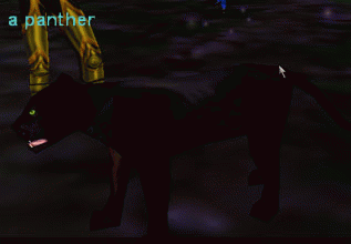 a panther