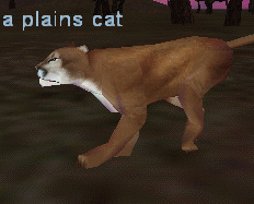 a plains cat