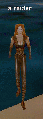 a raider