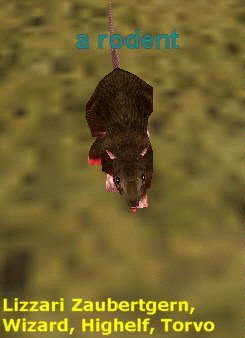 a rodent