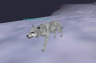 a rogue dire wolf