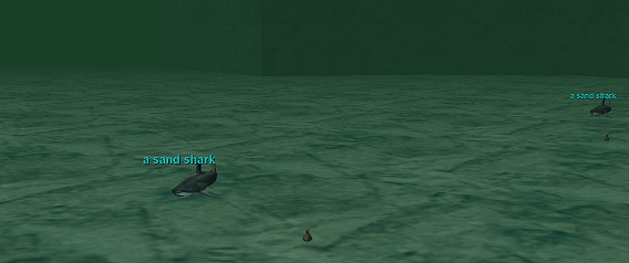 a sand shark
