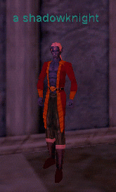 a shadowknight (Dark Elf Male)