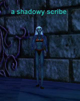 a shadowy scribe