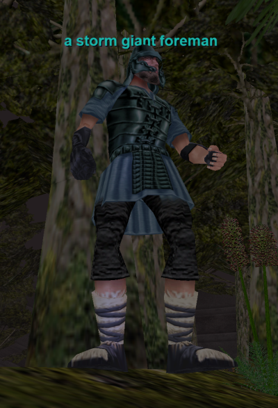 a storm giant foreman