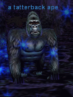 a tatterback ape