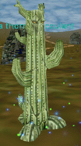 a thorny succulent