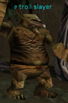a troll slayer