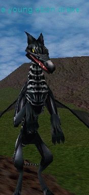 a young ebon drake