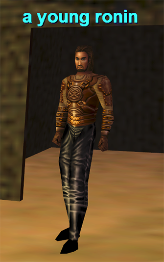 a young ronin