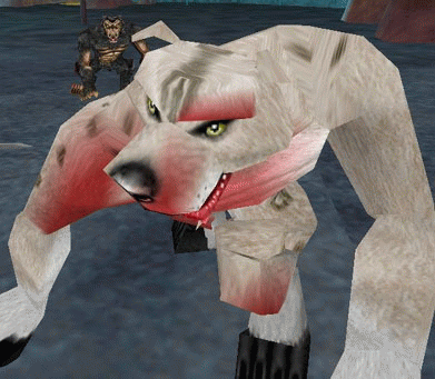 an Icepaw champion