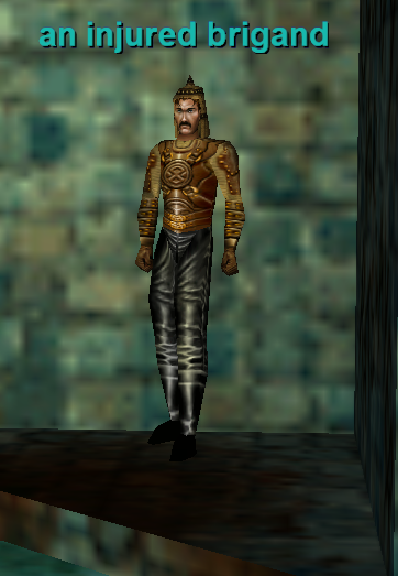 an injured brigand