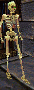 an undead knight