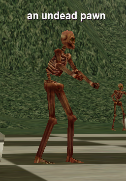 an undead pawn
