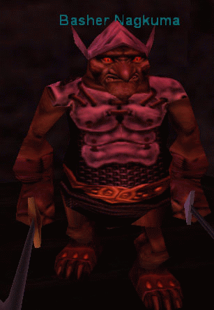Basher Nagkuma