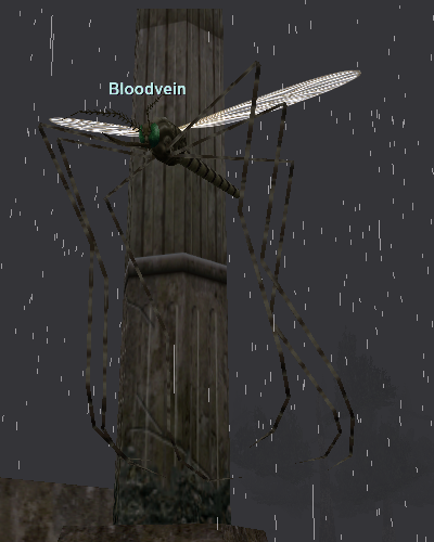 Bloodvein