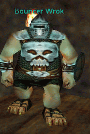 Bouncer Wrok