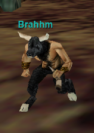 Brahhm