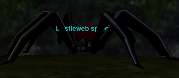 bristleweb spider