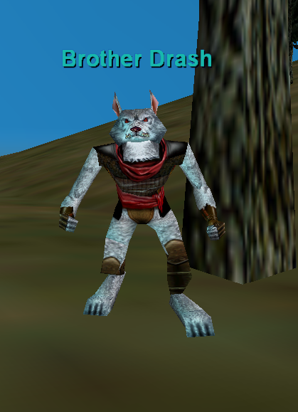Brother Drash