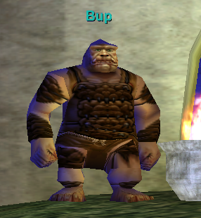 Bup