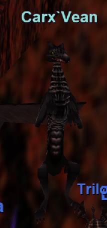 Carx`Vean