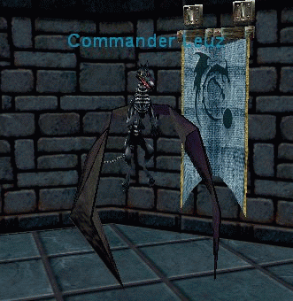 Commander Leuz