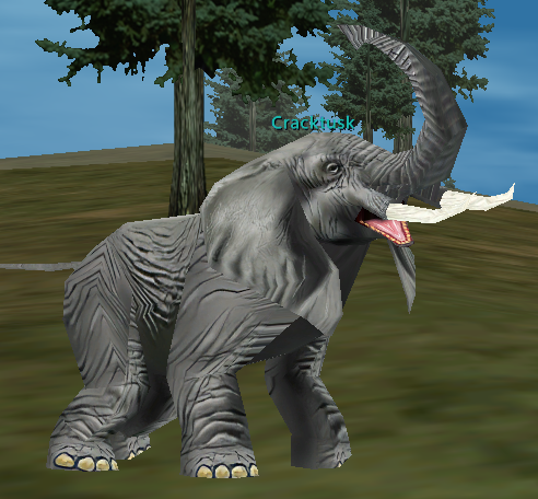 Cracktusk