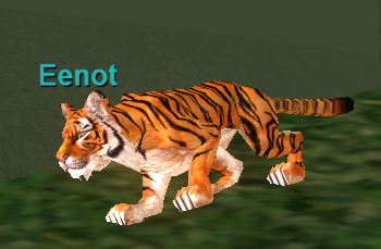 Eenot