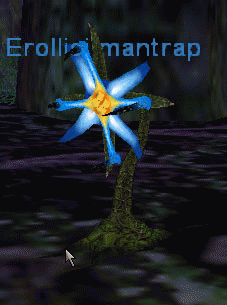 Erollisi mantrap