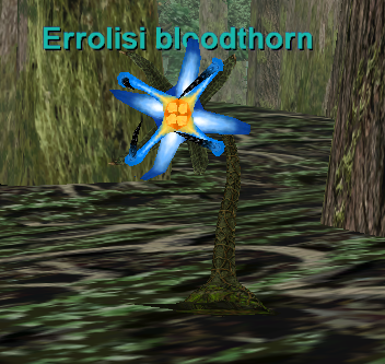 Erollisi bloodthorn