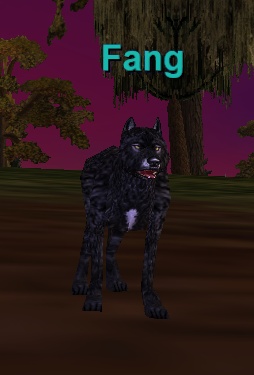 Fang