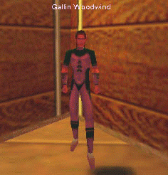 Gallin Woodwind