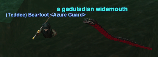 a gaduladian widemouth