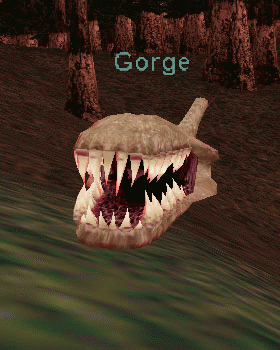 Gorge