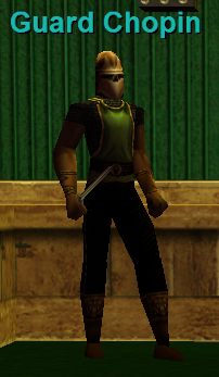 Guard Chopin