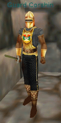 Guard Corshin