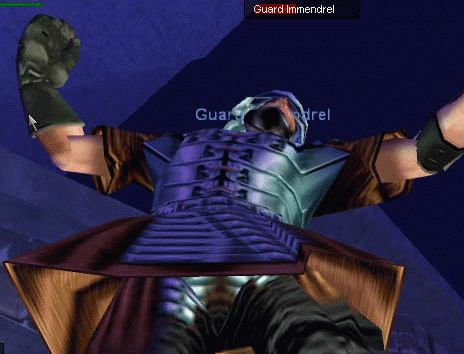 Guard Immendrel