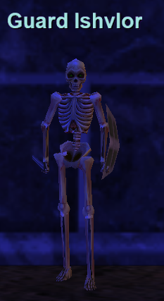 Guard Ishvlor