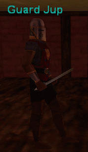 Guard Jup