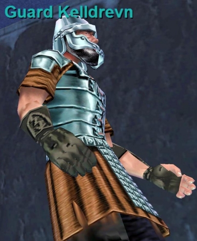 Guard Kelldrevn
