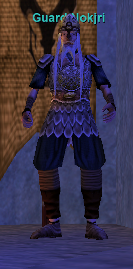 Guard Nokjri
