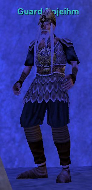 Guard Rojeihm