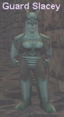 Guard Slacey