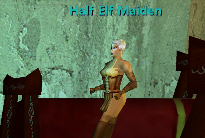 Half Elf Maiden