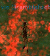 Ivie Bramblefoot