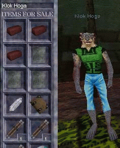 Klok Hoga