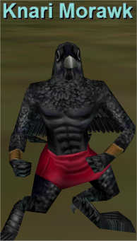 Knari Morawk