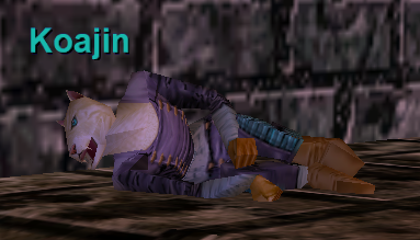 Koajin