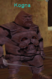 Kogna